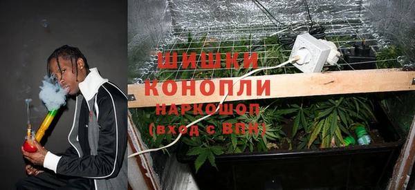спайс Алексин