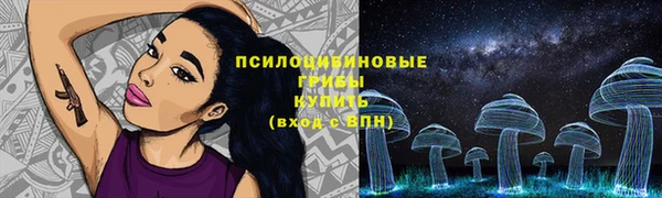 молекула духа Алексеевка
